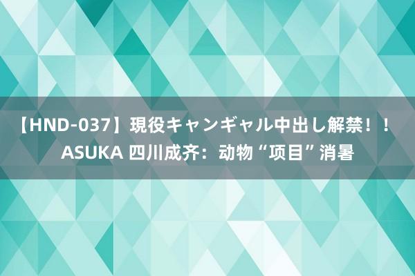 【HND-037】現役キャンギャル中出し解禁！！ ASUKA 四川成齐：动物“项目”消暑