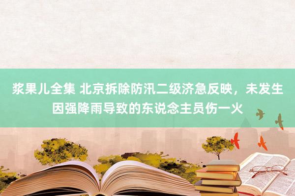 浆果儿全集 北京拆除防汛二级济急反映，未发生因强降雨导致的东说念主员伤一火