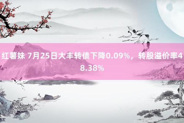 红薯妹 7月25日大丰转债下降0.09%，转股溢价率48.38%