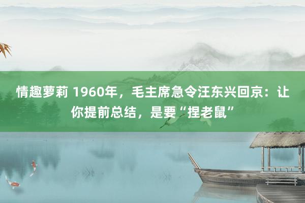 情趣萝莉 1960年，毛主席急令汪东兴回京：让你提前总结，是要“捏老鼠”