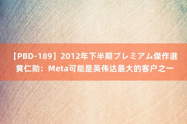 【PBD-189】2012年下半期プレミアム傑作選 黄仁勋：Meta可能是英伟达最大的客户之一