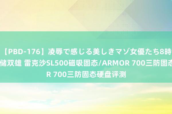 【PBD-176】凌辱で感じる美しきマゾ女優たち8時間 高速存储双雄 雷克沙SL500磁吸固态/ARMOR 700三防固态硬盘评测