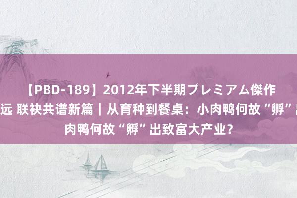 【PBD-189】2012年下半期プレミアム傑作選 不以山海为远 联袂共谱新篇｜从育种到餐桌：小肉鸭何故“孵”出致富大产业？