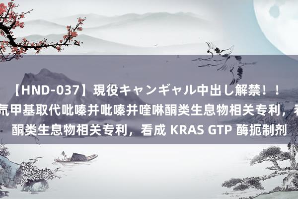 【HND-037】現役キャンギャル中出し解禁！！ ASUKA 海正药业得到氘甲基取代吡嗪并吡嗪并喹啉酮类生息物相关专利，看成 KRAS GTP 酶扼制剂