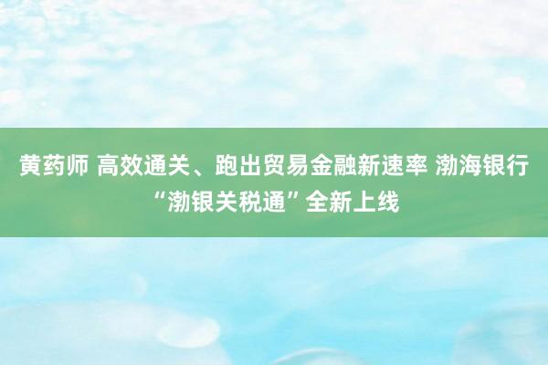 黄药师 高效通关、跑出贸易金融新速率 渤海银行“渤银关税通”全新上线