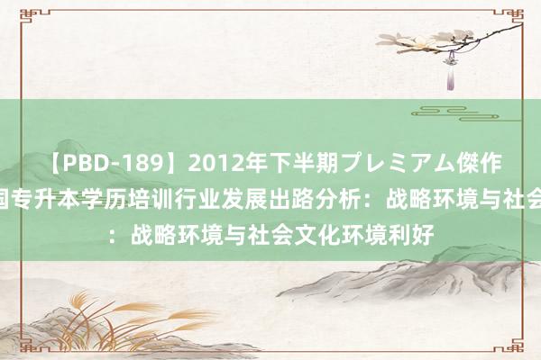 【PBD-189】2012年下半期プレミアム傑作選 2024年中国专升本学历培训行业发展出路分析：战略环境与社会文化环境利好