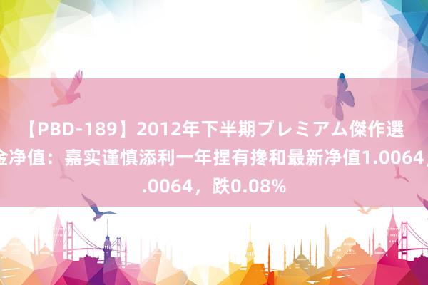 【PBD-189】2012年下半期プレミアム傑作選 8月8日基金净值：嘉实谨慎添利一年捏有搀和最新净值1.0064，跌0.08%