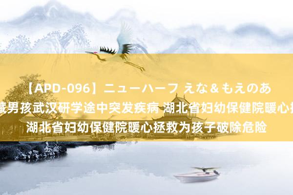 【APD-096】ニューハーフ えな＆もえのあぶない課外授業 西藏男孩武汉研学途中突发疾病 湖北省妇幼保健院暖心拯救为孩子破除危险