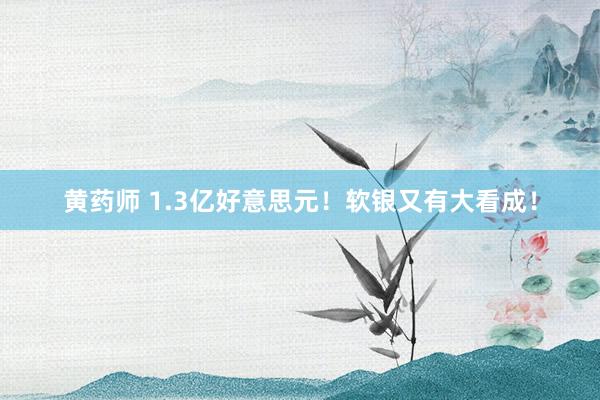 黄药师 1.3亿好意思元！软银又有大看成！