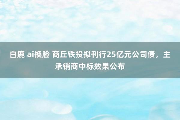 白鹿 ai换脸 商丘铁投拟刊行25亿元公司债，主承销商中标效果公布