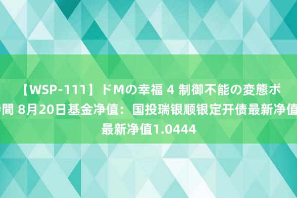 【WSP-111】ドMの幸福 4 制御不能の変態ボディ4時間 8月20日基金净值：国投瑞银顺银定开债最新净值1.0444