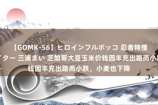 【GOMK-56】ヒロインフルボッコ 忍者特捜隊バードファイター 三浦まい 芝加哥大豆玉米价钱因丰充出路而小跌，小麦也下降