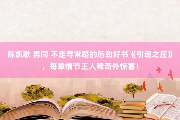 陈凯歌 男同 不走寻常路的后劲好书《引魂之庄》，每章情节王人稀奇外惊喜！