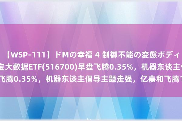 【WSP-111】ドMの幸福 4 制御不能の変態ボディ4時間 ETF最前哨 | 华宝大数据ETF(516700)早盘飞腾0.35%，机器东谈主倡导主题走强，亿嘉和飞腾10.01%