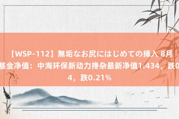 【WSP-112】無垢なお尻にはじめての挿入 8月26日基金净值：中海环保新动力搀杂最新净值1.434，跌0.21%