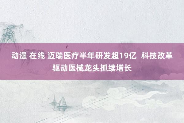 动漫 在线 迈瑞医疗半年研发超19亿  科技改革驱动医械龙头抓续增长