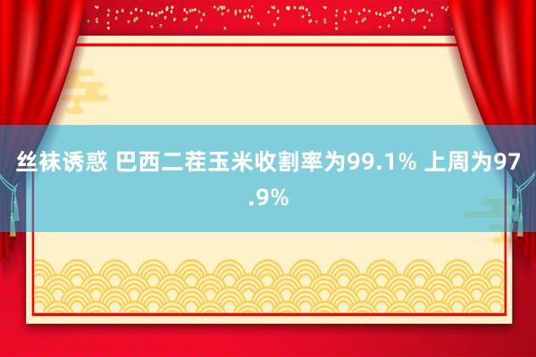 丝袜诱惑 巴西二茬玉米收割率为99.1% 上周为97.9%