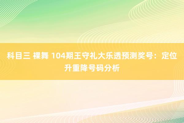 科目三 裸舞 104期王守礼大乐透预测奖号：定位升重降号码分析