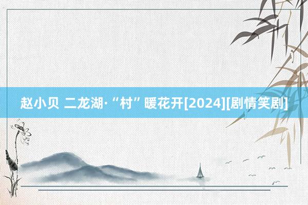 赵小贝 二龙湖·“村”暖花开[2024][剧情笑剧]