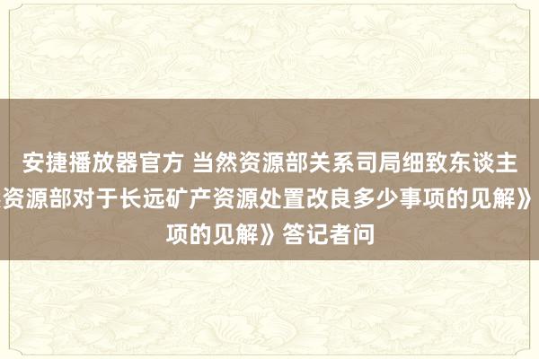 安捷播放器官方 当然资源部关系司局细致东谈主就《当然资源部对于长远矿产资源处置改良多少事项的见解》答记者问