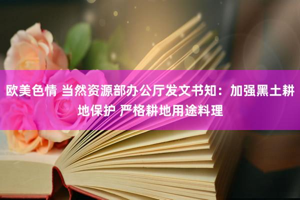 欧美色情 当然资源部办公厅发文书知：加强黑土耕地保护 严格耕地用途料理