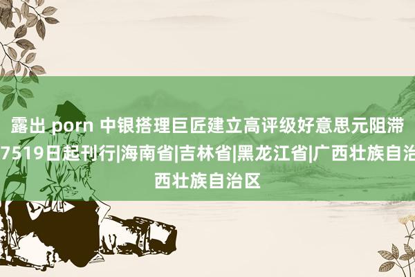 露出 porn 中银搭理巨匠建立高评级好意思元阻滞247519日起刊行|海南省|吉林省|黑龙江省|广西壮族自治区