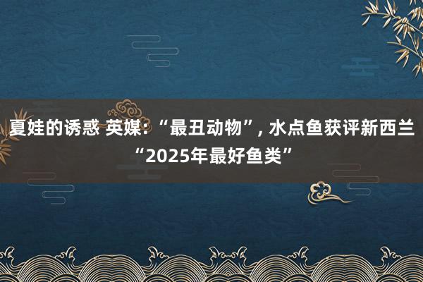 夏娃的诱惑 英媒: “最丑动物”, 水点鱼获评新西兰“2025年最好鱼类”